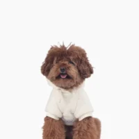 Tiny Little Friends Cotton Cardigan