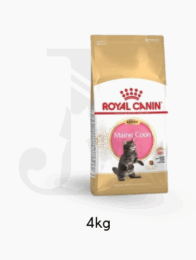 Royal canin cat Kitten Maincoon 4 kg