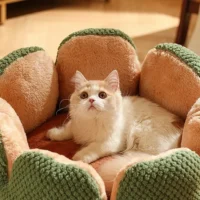 Tiny Little Friends Cotton Cardigan