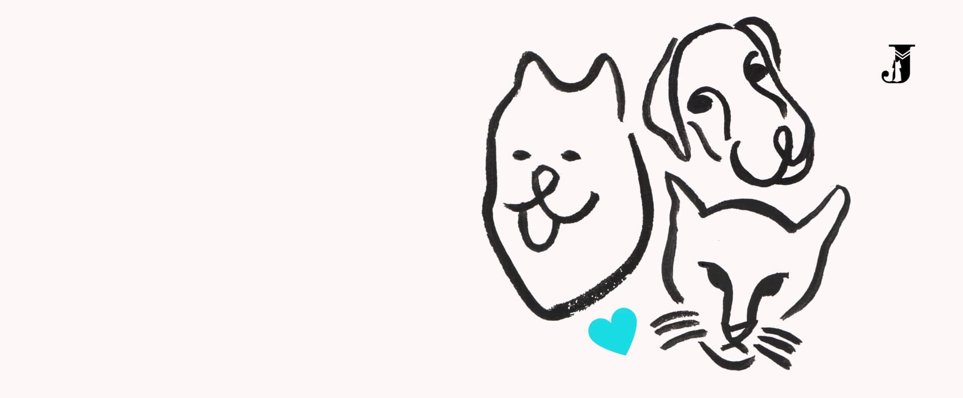 grand-opening-new-website-jangkipetshop-min